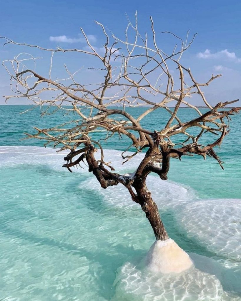 Ruta de Paz 5 días – 4 noches